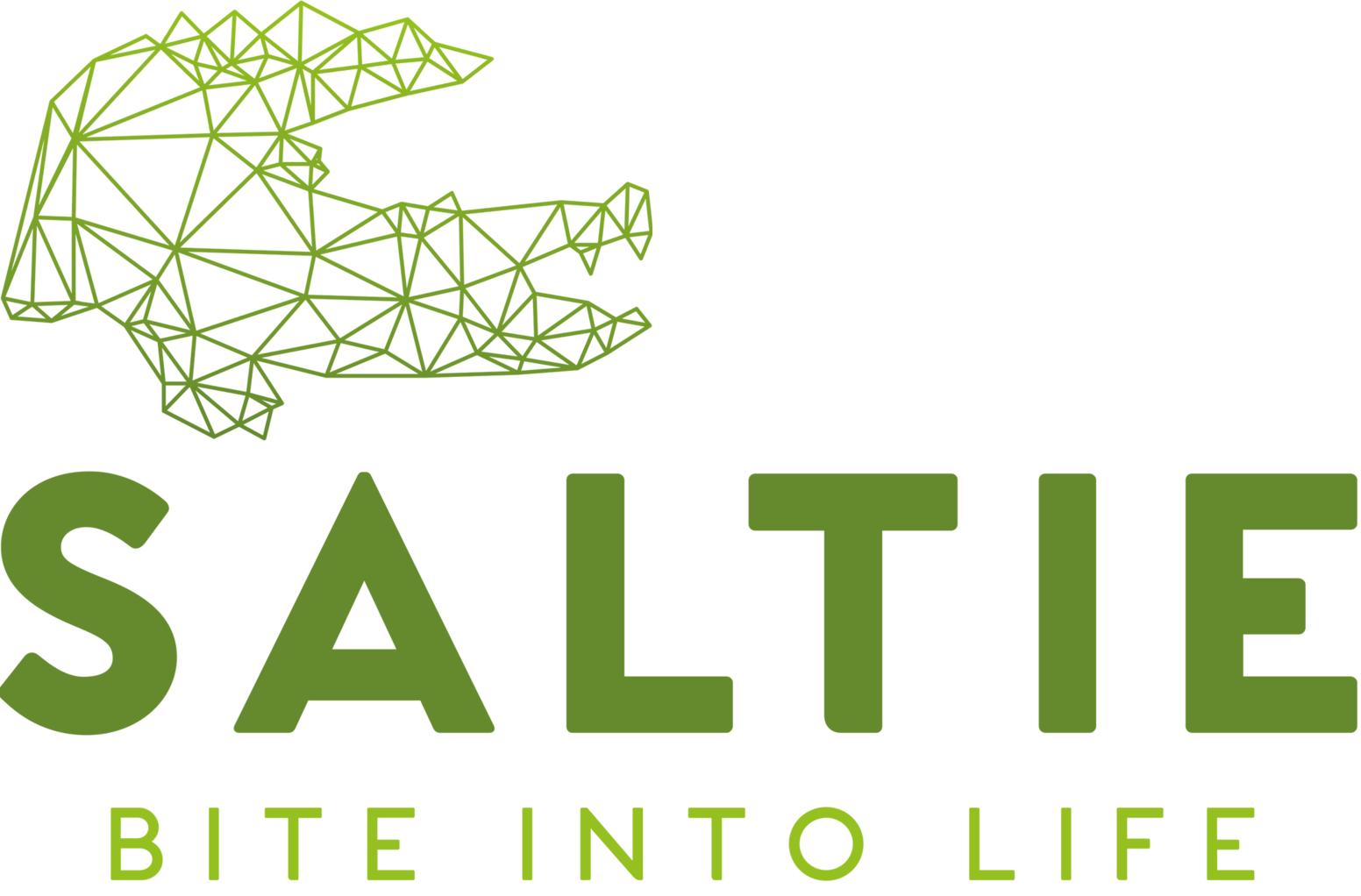 Saltie Bite Into Life logo